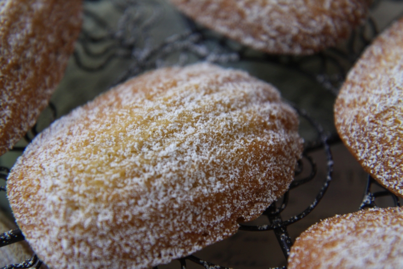 madeleines1 resized